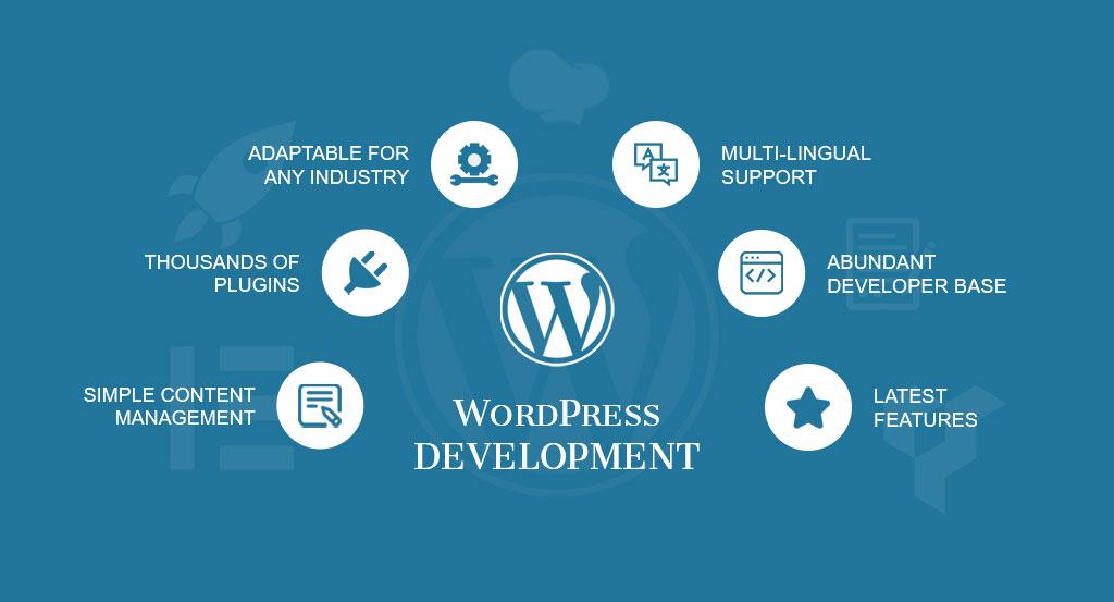 Wordpress Development Agency